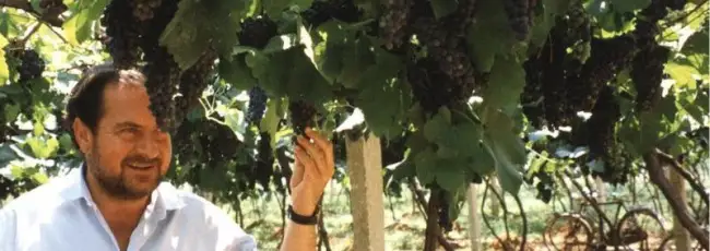 Addio a Michel Rolland, rockstar dell&rsquo;enologia