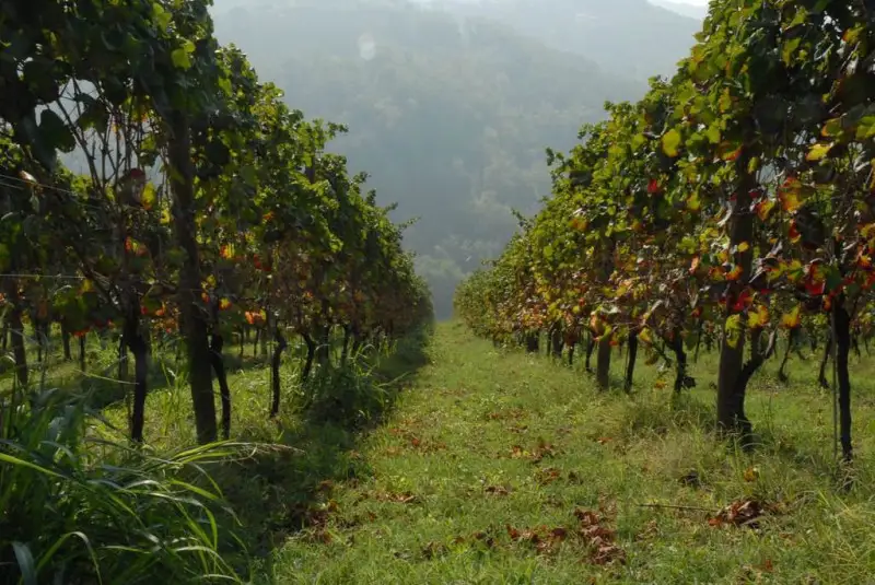 Il premio delle enoteche italiane al territorio Pavese