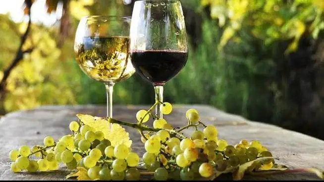 Federvini e Unicredit: dopo un 2020 difficile, il settore torner&agrave; a crescere nel 2021