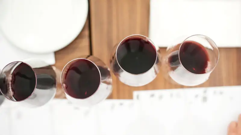 Quali saranno le tendenze di cocktail e vini dell'autunno 2023?