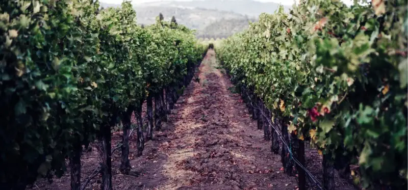 L&rsquo;iconico cartello della Napa Valley sar&agrave; spostato