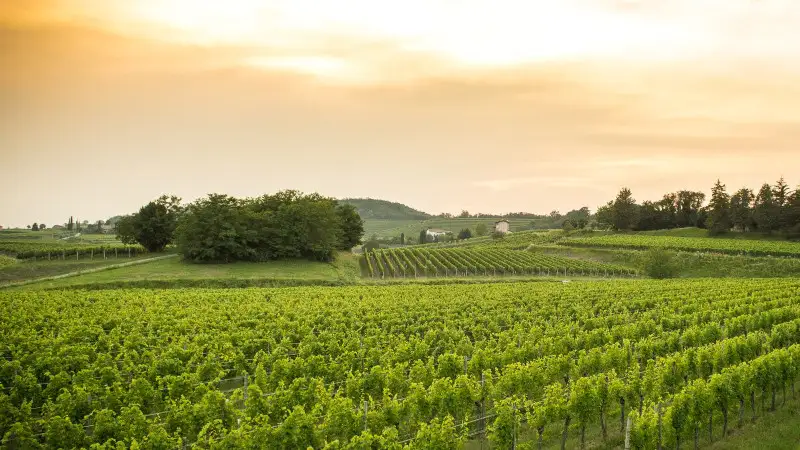 I criteri di calcolo della plastica riciclata nelle bottiglie monouso