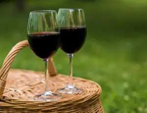 Una bozza di decreto introdurrebbe in Cile la categoria del &laquo;vino a basso contenuto alcolico&raquo;
