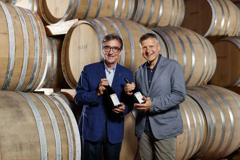 Terregiunte, il nuovo "vino d'Italia" sposa Nord e Sud enologici