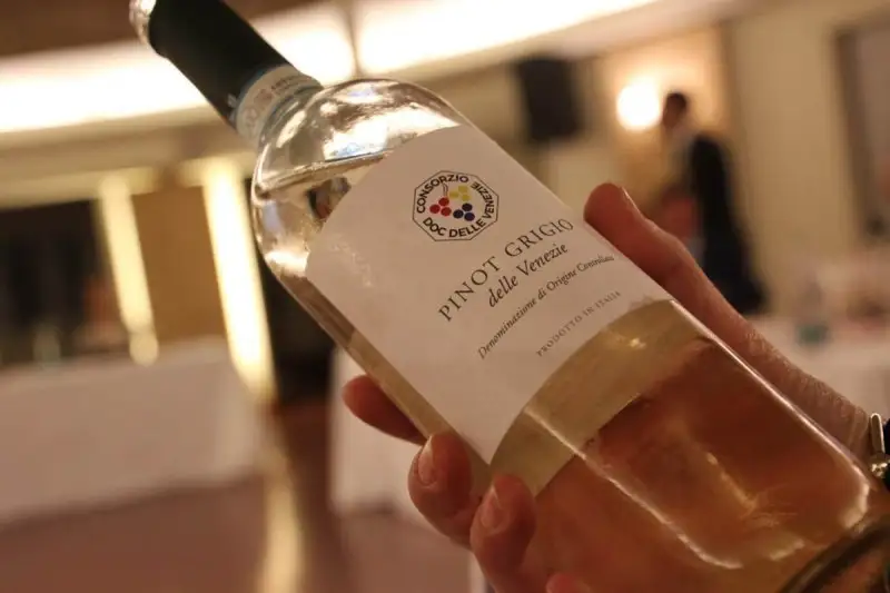 Dal 1&deg; agosto stop all'Igt per il Pinot Grigio delle Venezie