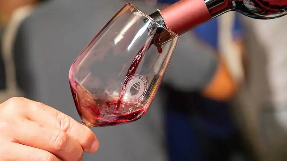 Primitivo di Manduria: 22,7 milioni di bottiglie nel 2019