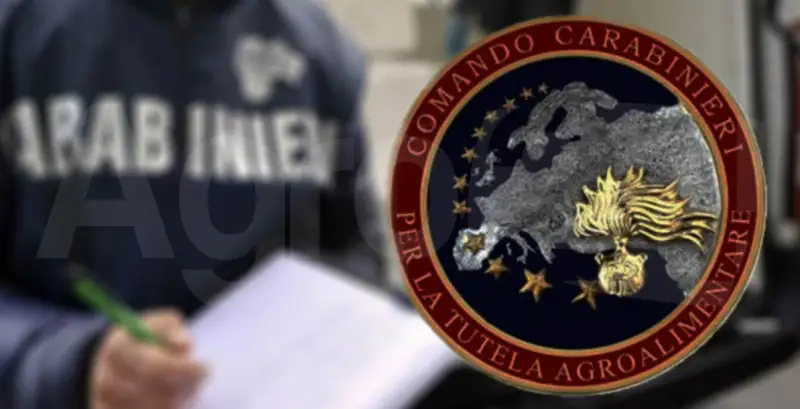 Il vademecum per il consumatore dei Carabinieri per la Tutela Agroalimentare