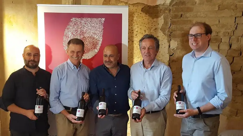 Barbera d'Asti 2.0: nasce la prima mappa sensoriale della denominazione