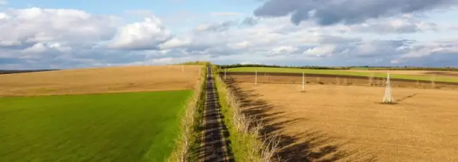 I nuovi report USDA su India, Lituania, Paesi Bassi e Per&ugrave;