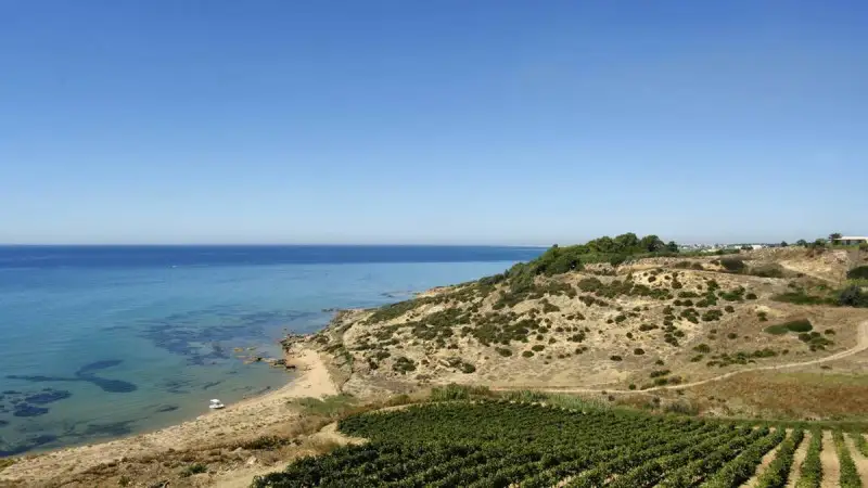 Vino: in Italia quasi una Dop su tre si affaccia sul mare