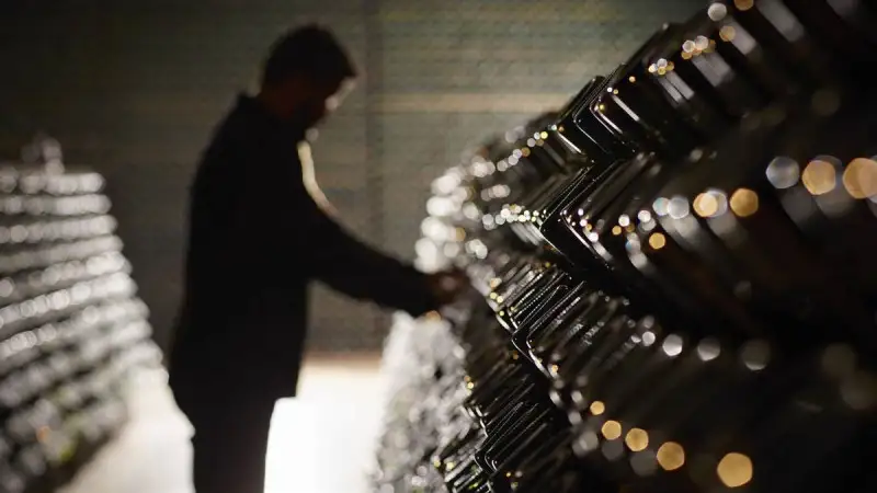 Wine Enthusiast candida il Trentino a &ldquo;Wine Region of the year&rdquo;