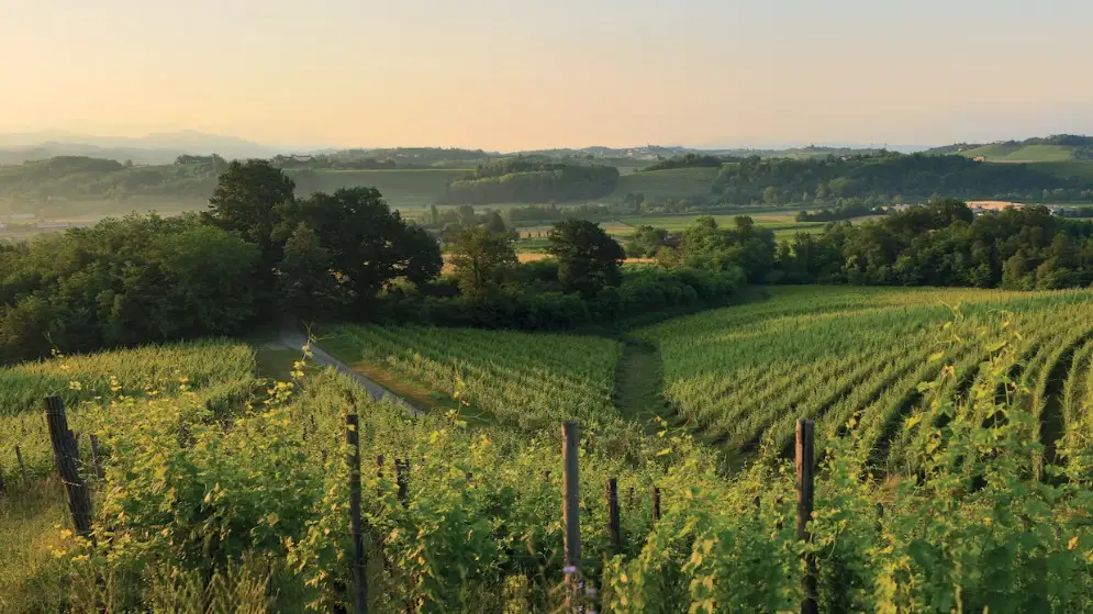Prepotto, un angolo di paradiso tra le colline