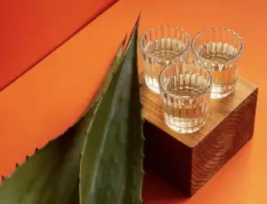 Aumenta il consumo di tequila in Italia (+25,6% nel semestre)