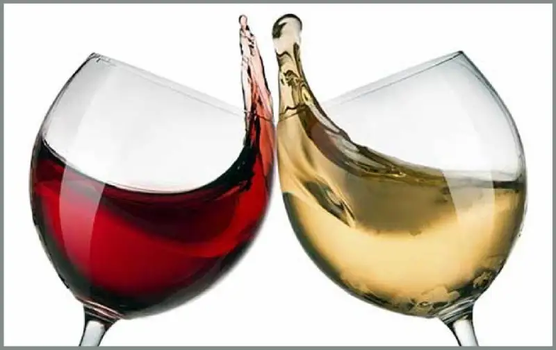 L'Italia del vino sotto la lente: ricerca della Rome Business School