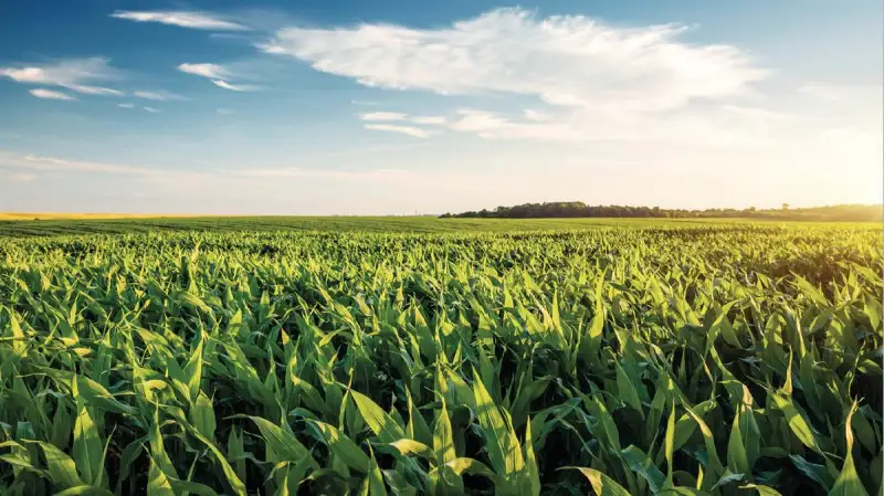 Crisi russo-ucraina: quali effetti sugli scambi agroalimentari dell&rsquo;Italia? Lo studio Crea