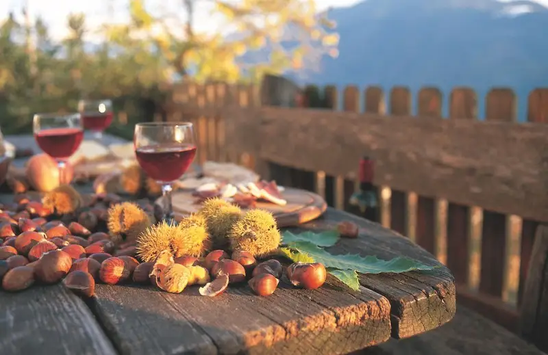 Non c&rsquo;&egrave; autunno senza T&ouml;rggelen