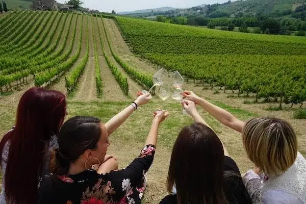 Nasce il Super Master Enoturismo per creare i manager dell'eno-ospitalit&agrave;