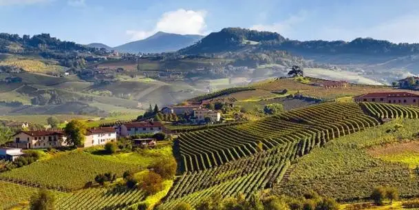 Crediti, carbonio e cambiamento climatico: a che punto siamo con il regolamento europeo?