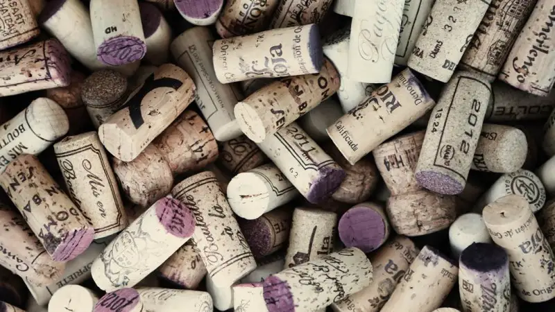 Ricerca spagnola: passi in avanti per eliminare gli effetti del TCA sul sughero