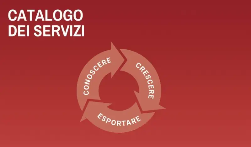 Ice, tutti i nuovi servizi disponibili dal prossimo 1&deg; aprile