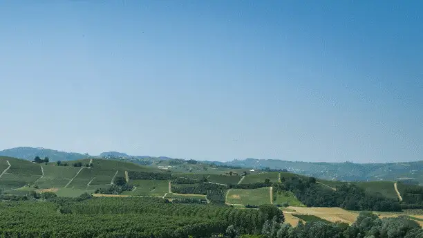 Parco Agrisolare: i destinatari ammessi