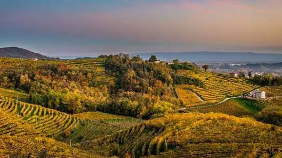 A piedi tra le colline di Conegliano e Valdobbiadene