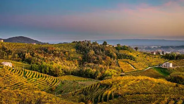 Progetto Crea, pi&ugrave; efficienza energetica per fronteggiare l&rsquo;emergenza climatica