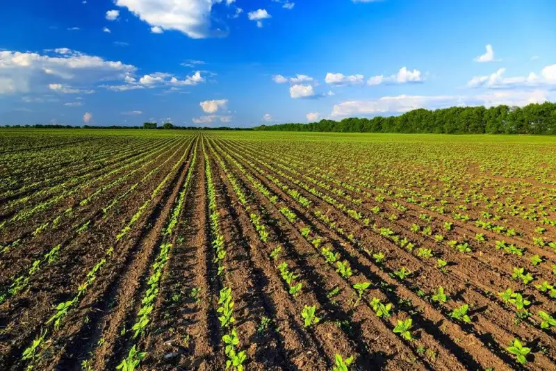 Bando da 4,2 milioni per la ricerca in agricoltura biologica