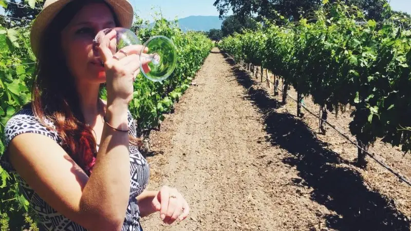 Vendemmia in Valtellina, le esperienze da vivere