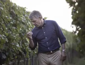 A Renzo Cotarella il &ldquo;Winemakers&rsquo; Winemaker Award&rdquo; 2026 dell&rsquo;Institute of Masters of Wine