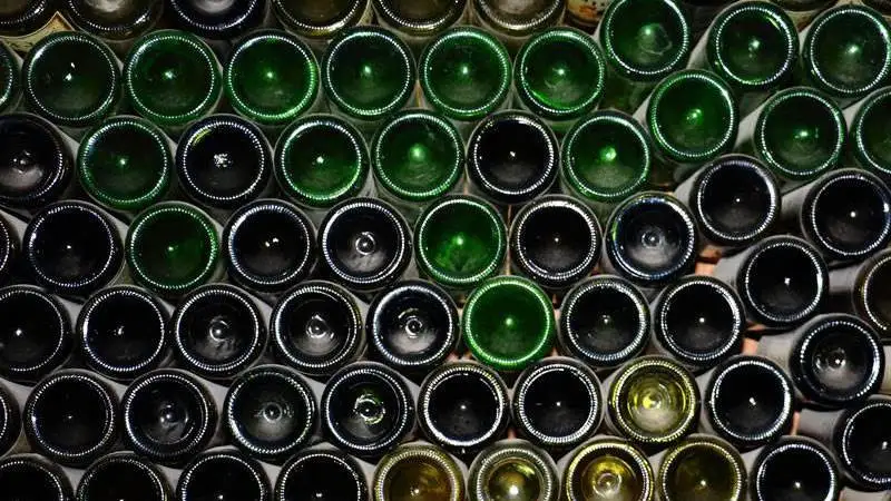 Putin approva misure per lo sviluppo della viticoltura e della vinificazione in Russia