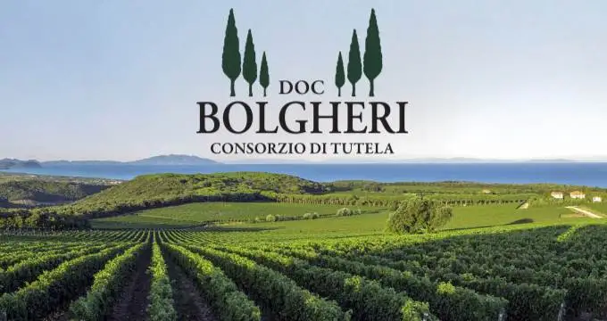 I vini a Doc Bolgheri verso la modifica del disciplinare di produzione