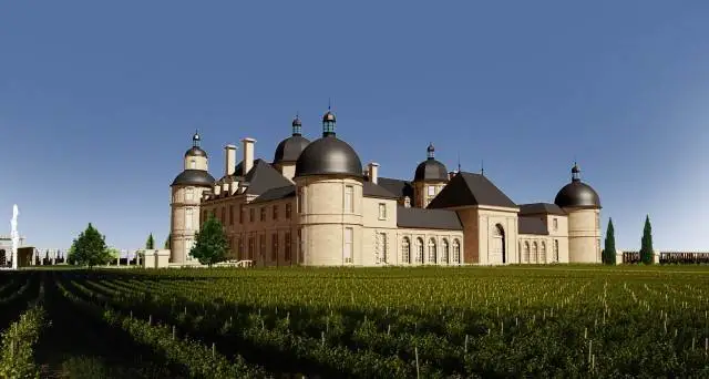 Svolta biodinamica per la maggior casa vinicola cinese