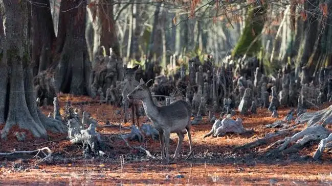 Vacanze verdi nelle Terre di Pisa