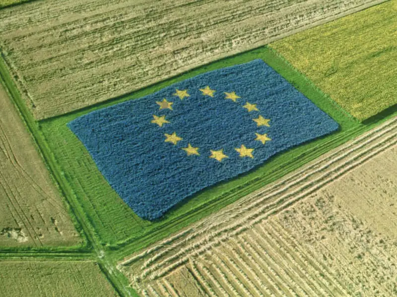 Proroga al 15 giugno per le domande di aiuto Pac