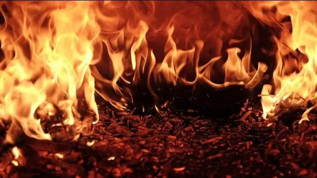 Francia, in fiamme i vigneti del Bordeaux