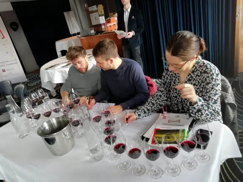 Il Consorzio Barbera d'Asti e vini del Monferrato lancia il progetto E4QUALITY per promuovere il territorio