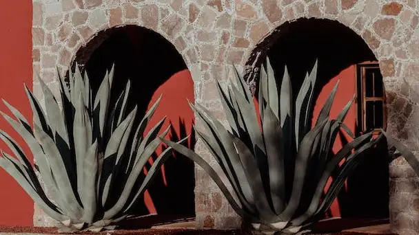 Mezcal, un ingrediente artigianale nuova star della mixology