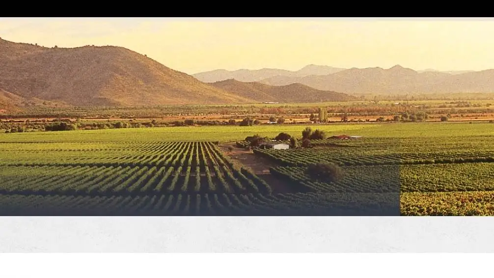 L'Oiv lancia il piano di trasformazione digitale: un progetto su 4 assi