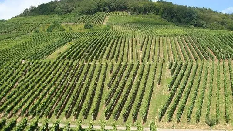 Esteso a 62mila euro il limite massimo per la Garanzia U35