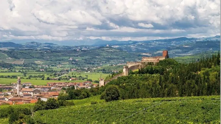 I cru del Soave sono ora riconosciuti anche dall&rsquo;Unione Europea