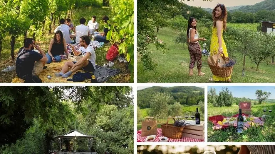 Pic Nic gustoso in Emilia Romagna