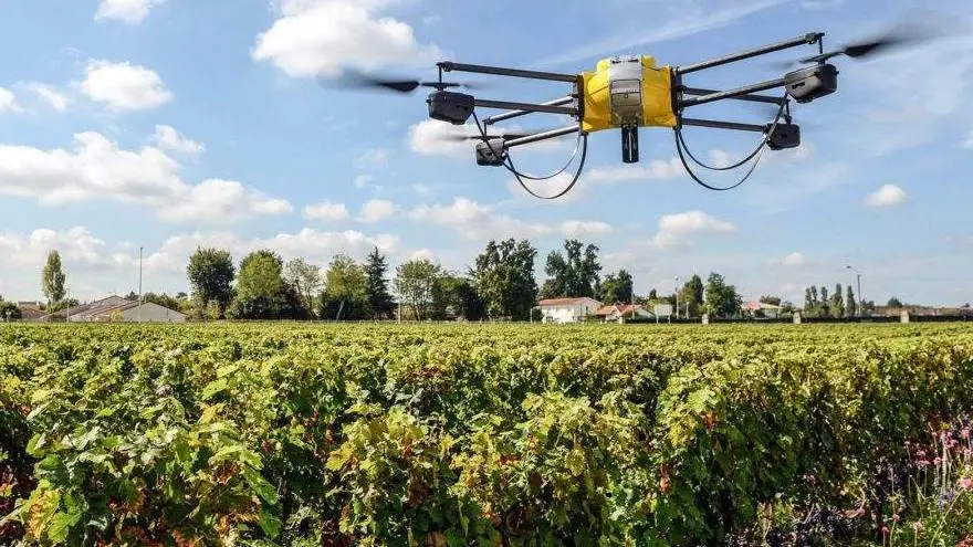 Crea, la viticoltura e le sfide della nuova Pac, tra sostenibilit&agrave; e mercato