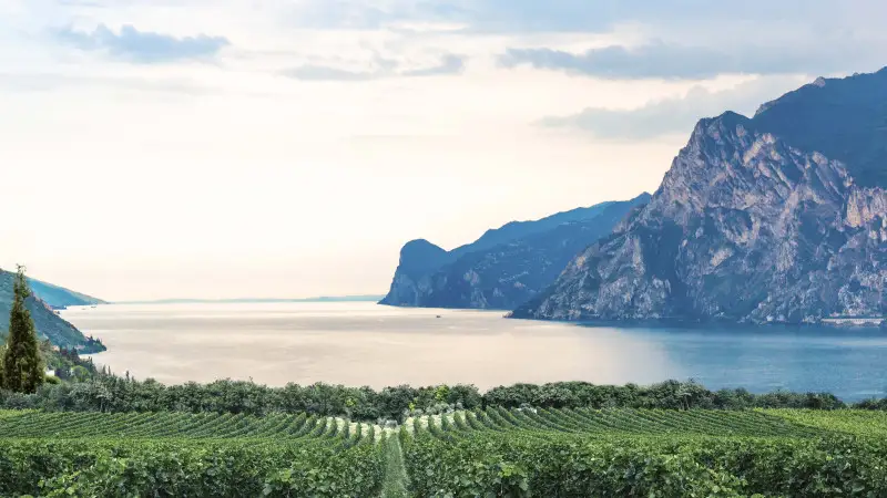 Consorzio Garda Doc, prima Carta dei Suoli