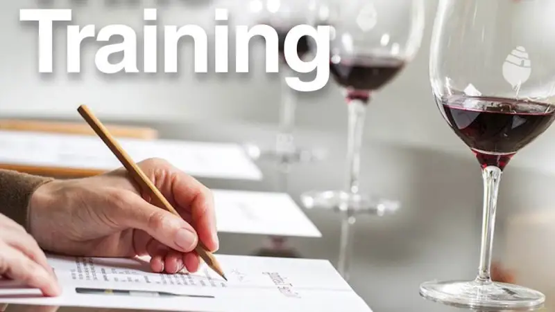 Didattica a distanza: workshop formativi del  Consorzio di Tutela del Primitivo di Manduria