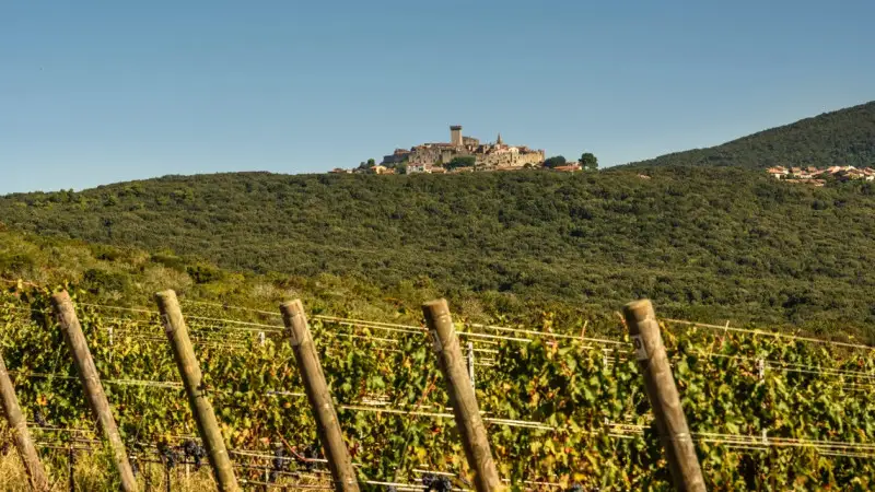 Bio, aumentano le polizze contro rischi meteorologici