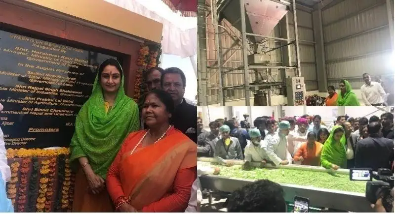 Al via il progetto del primo food park italo-indiano