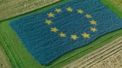 De Castro: lettera alla Commissione Ue con le richieste per il settore del vino