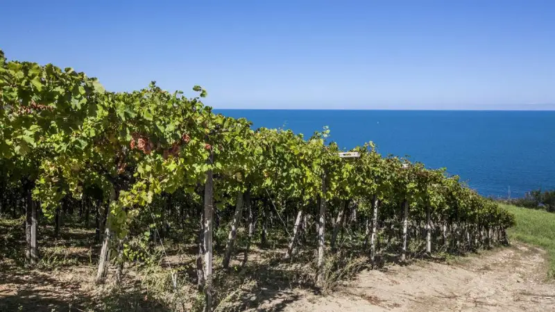 Wine Enthusiast candida l'Abruzzo come regione dell'anno ai Wine Star Awards
