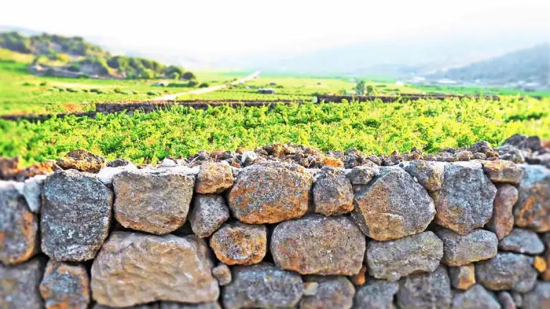 Pantelleria, la Perla Nera del Mediterraneo